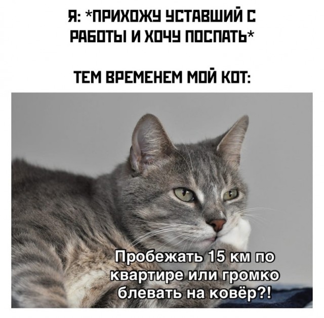 Весёлый полтишок 27.05