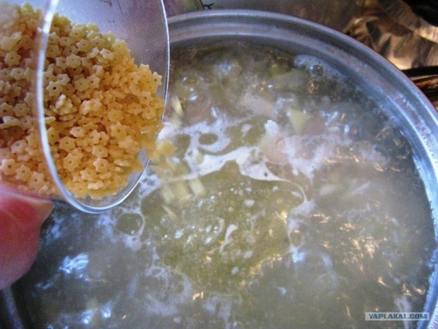 Куриный бульон для Чайников, Или «Кура-International»