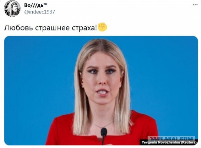 День удивительных историй