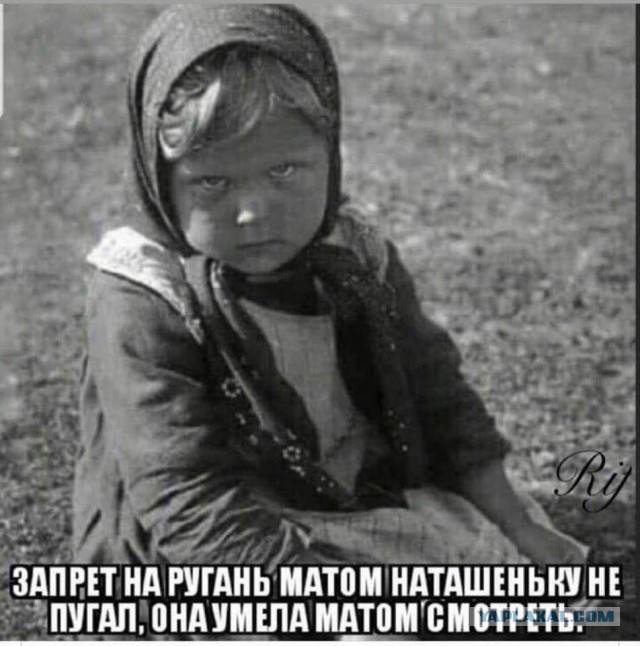 Хорошая собачка, - жирненькая.