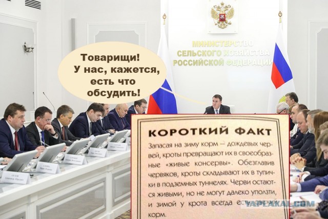 Картинки и мемы для настроения 003