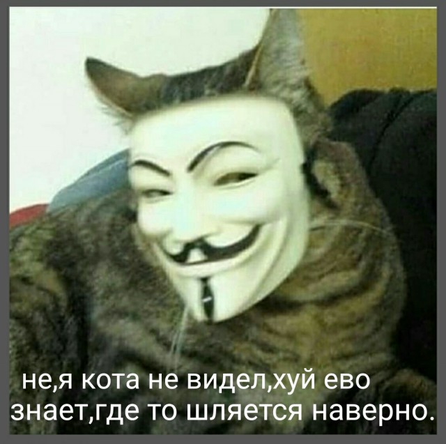 В центре Гамалеи призвали вакцинировать кошек