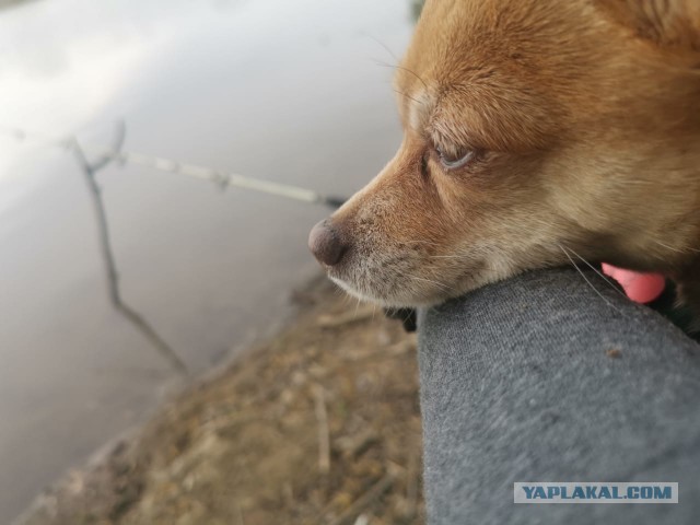 Когда осознал, что вся жизнь - это тлен...