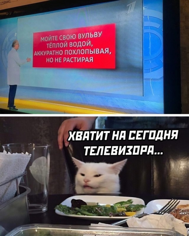 Весёлый полтишок 28.01