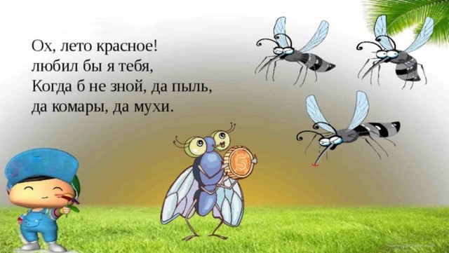 Звуки в деревне ночью