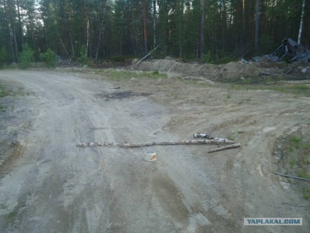 Прошлым летом в Карелии