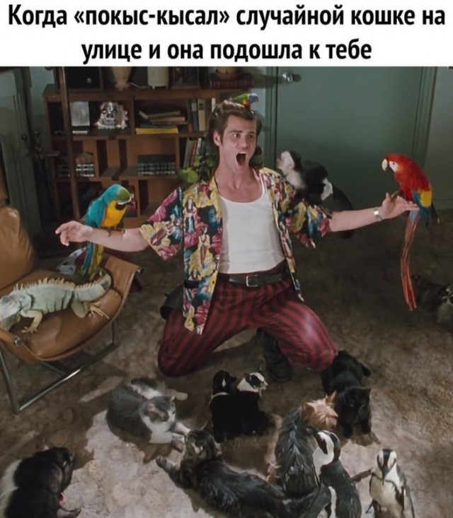 Картинки и мемы для настроения - 11