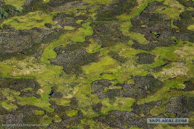 Сплав по реке Котуйкан.