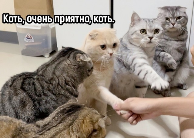 Так себе картинки 28.09.22