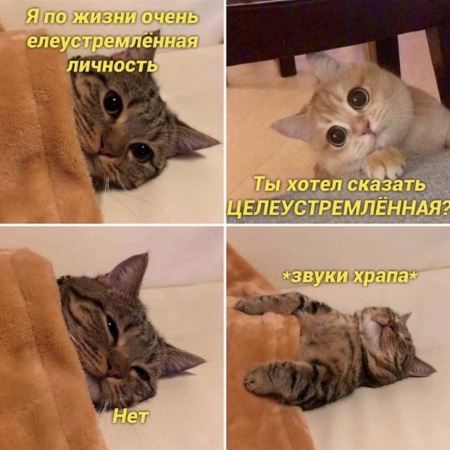 Картинки и мемы для настроения - 119