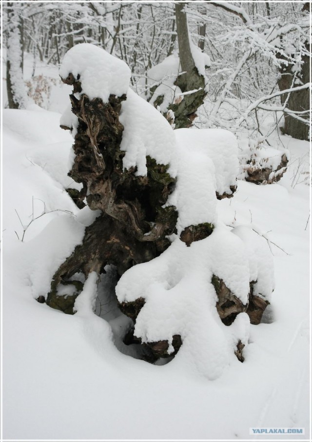 Крым. Терновка. Зимние дороги.