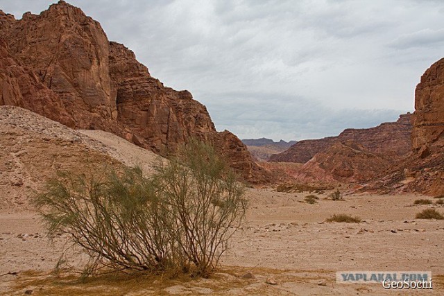 Синайские приключения. Шарм-эш-Шейх и окресности
