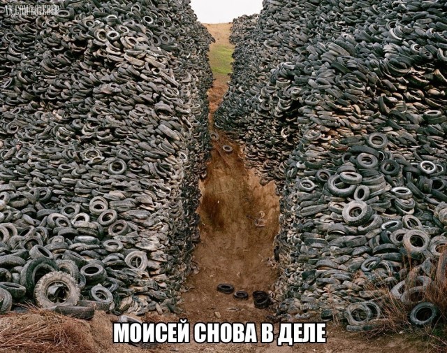 Народная меДИЧина 5023