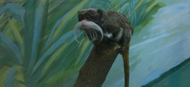 Прописал в челюсть