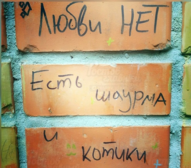 Так себе картинки 10.01.23