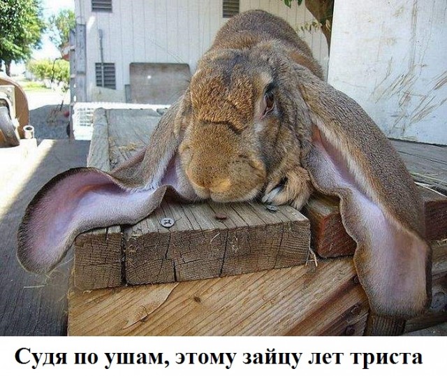 Картинки с надписями 15.01.23