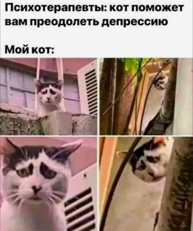 Весёлый полтишок 17.01.23