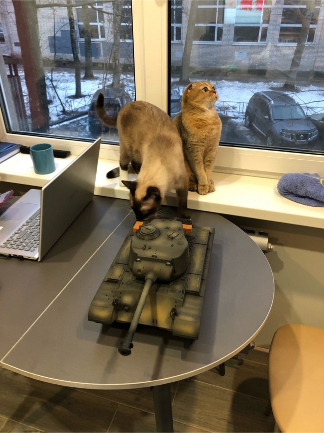 Котаро