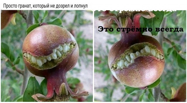Так себе картинки 05.03.23
