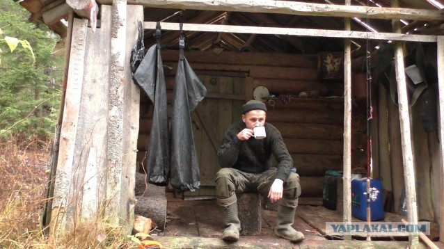 Тепло таёжной избушки.