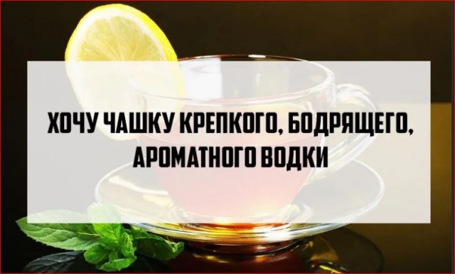 Победная поступь идиотизма по планете – том 16