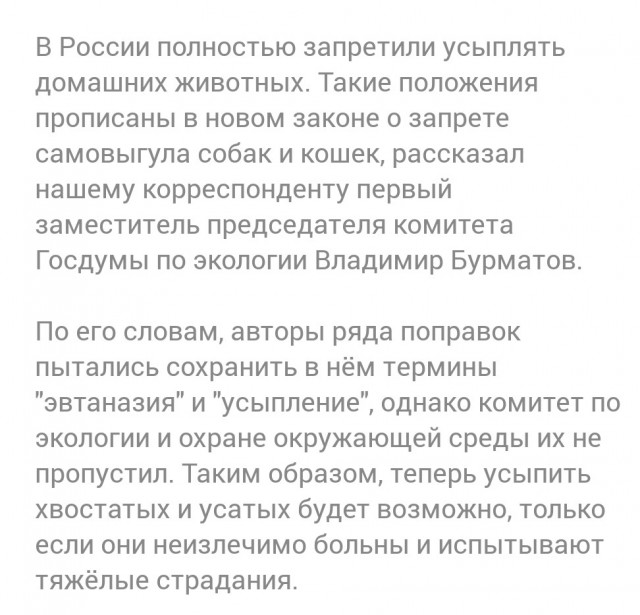 Депутаты запретили самовыгул собак и котов