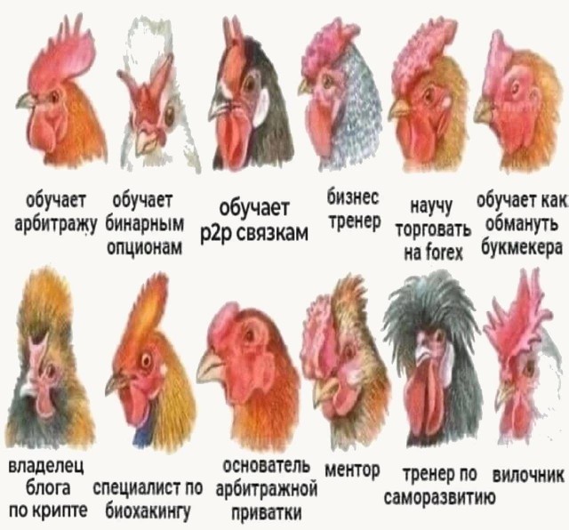 Народная меДИЧина 5020