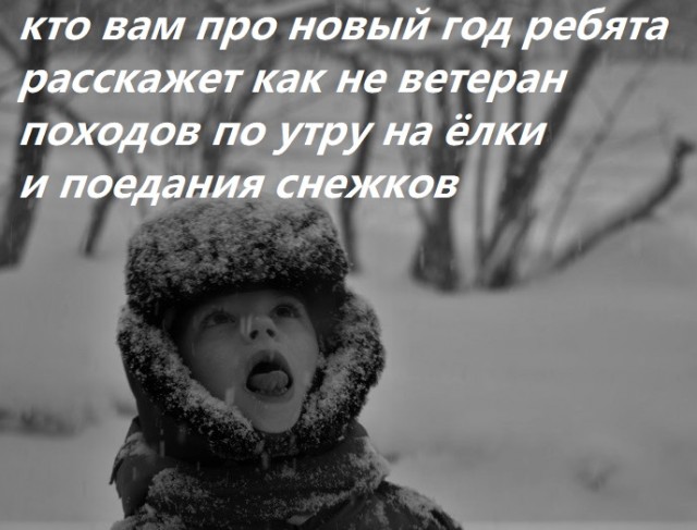Весёлый полтишок 02.01.24