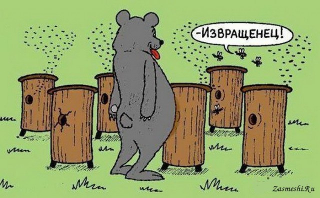 Собаки Бессона, пчелы Стэйтема, рестлеры и киберпанк: ожидаемые фильмы января