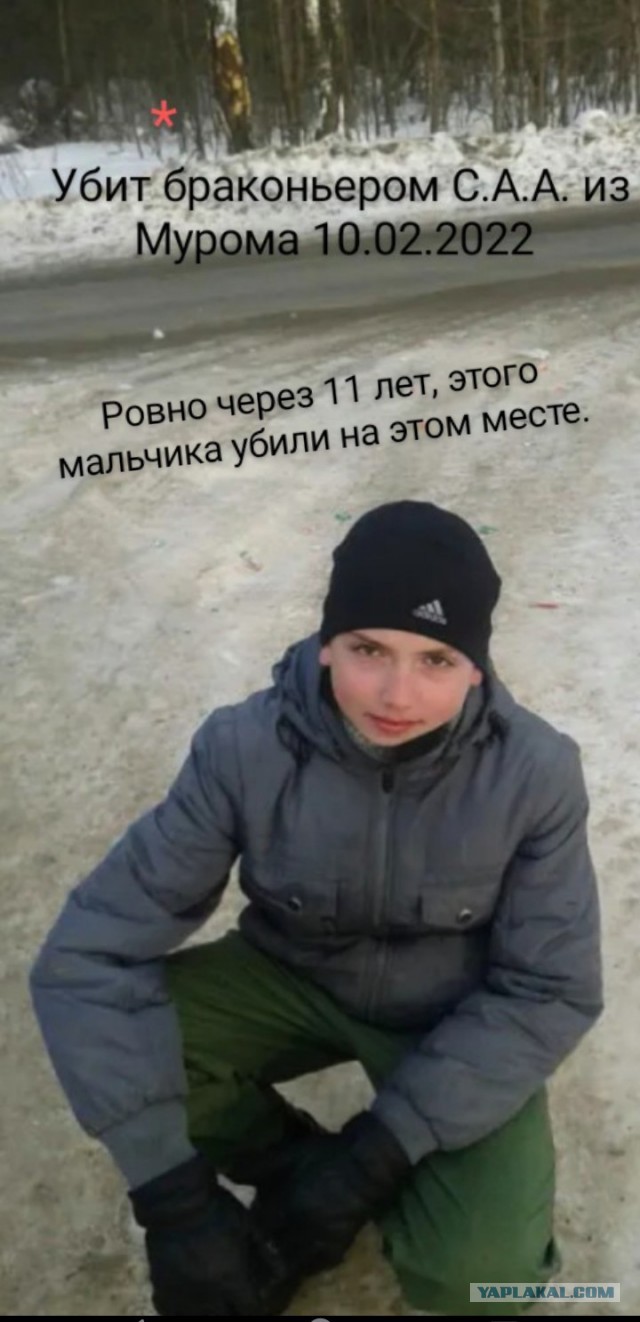 Житель Вязников случайно застрелил закладчика при охоте на лося