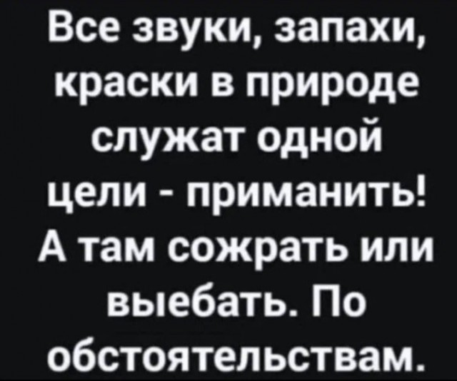 Всего понемногу. От 01.03.24