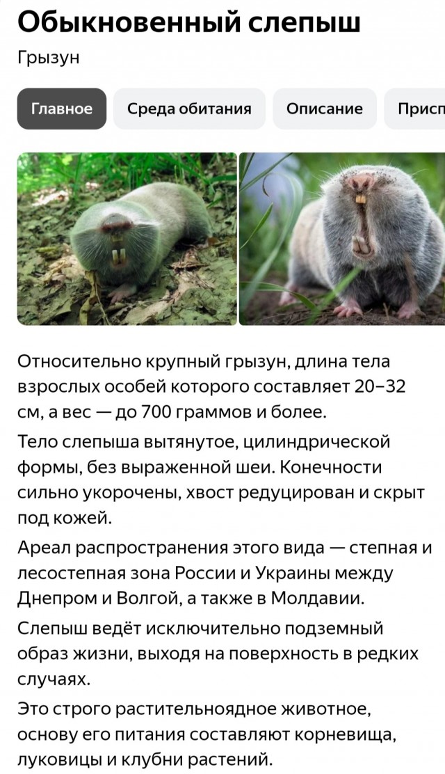 Художественный фильм "Сп**дили"