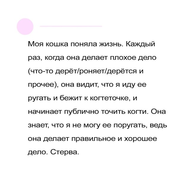 Так себе картинки 04.06.24