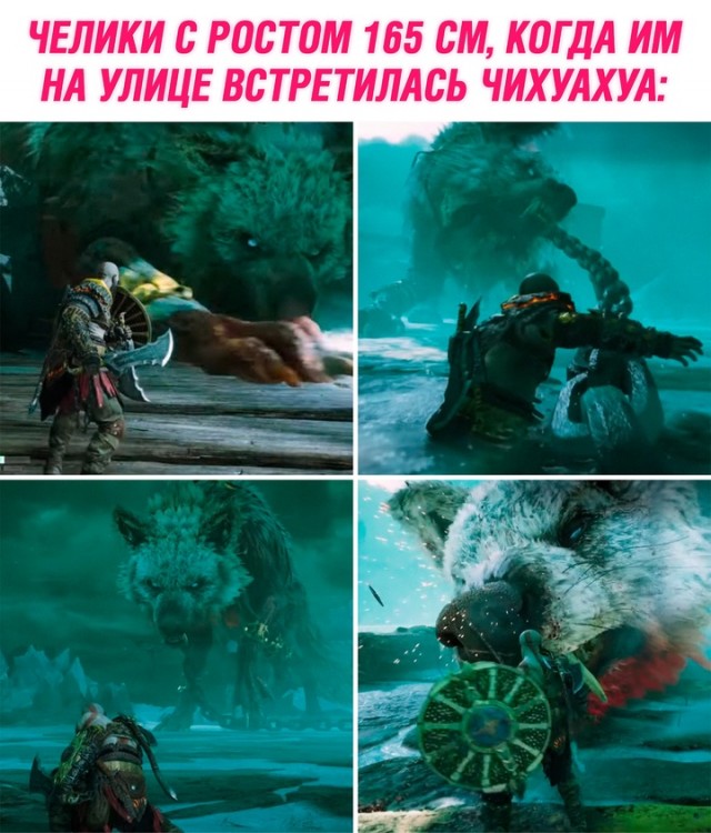 Весёлый полтишок 02.07.24