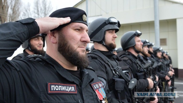 Задержание в Вологде.