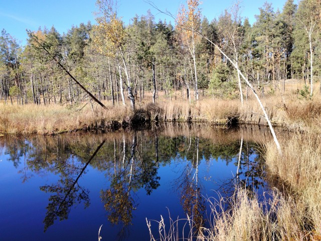 Осень на озёрах 2