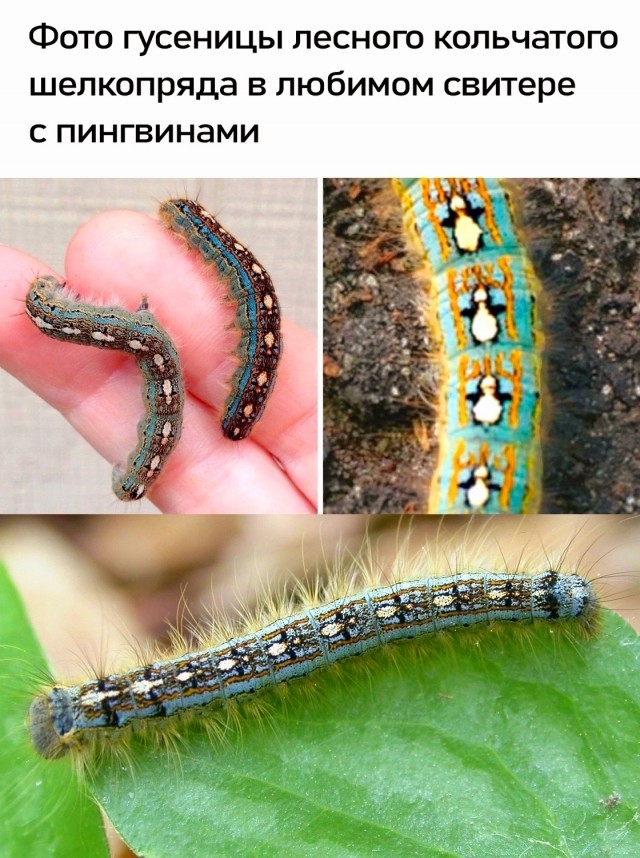 Завалялось тут случайно немного забавных картинок
