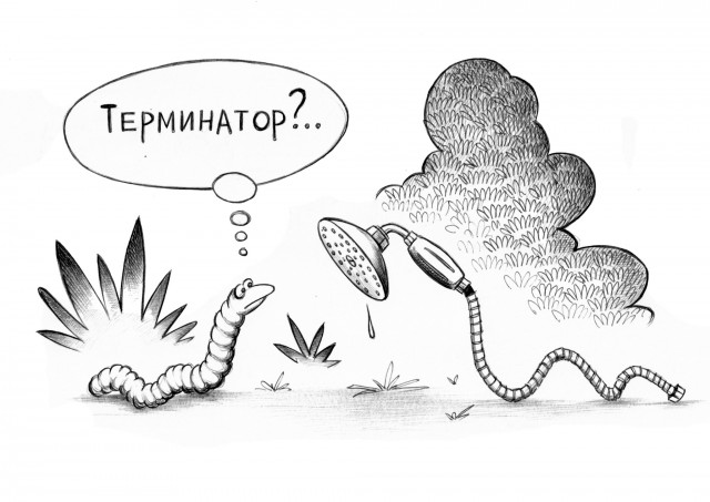 Так себе картинки