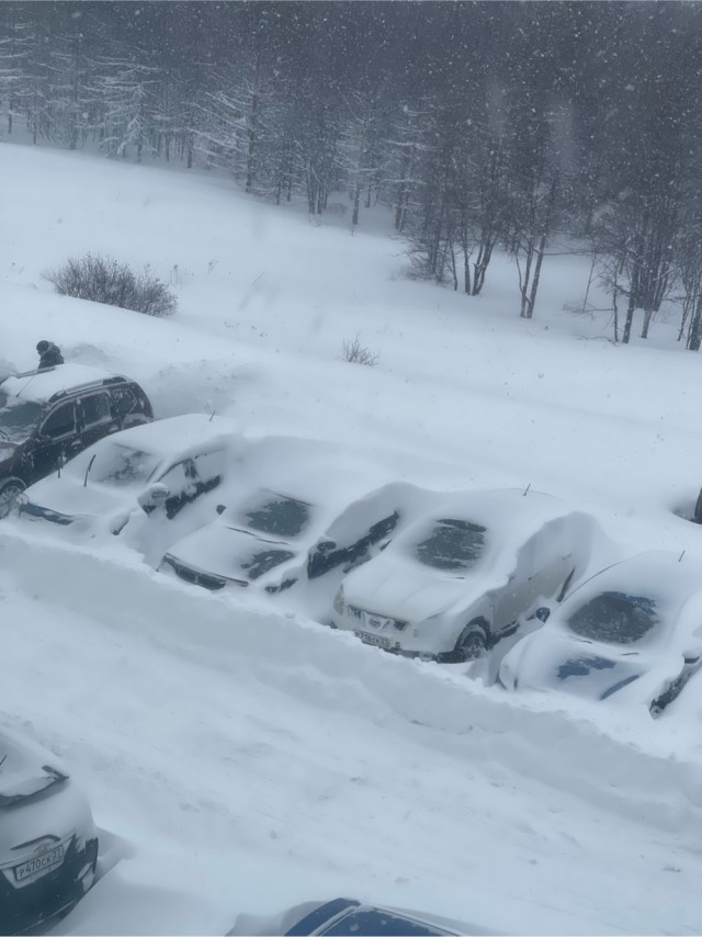 Куда делась зима?