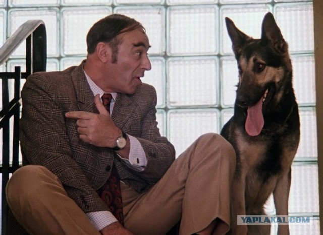 Лучший полицейский крышевал бизнес и промышлял "мертвыми душами"