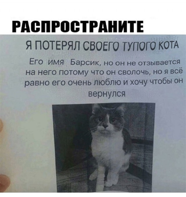 Так себе картинки 14.03.25