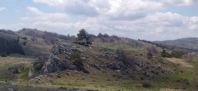 Разбавим политоту и жесть природой