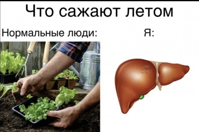 Дача - это место для отдыха!