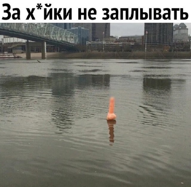 Так себе картинки 29.06.25