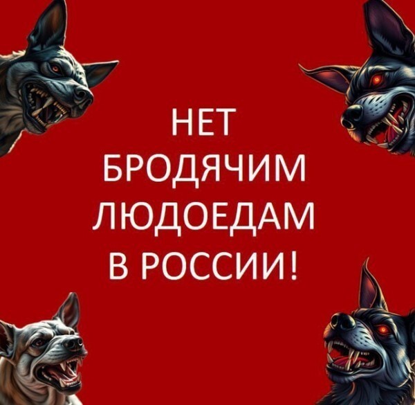 Проблема бродячих собак в России!