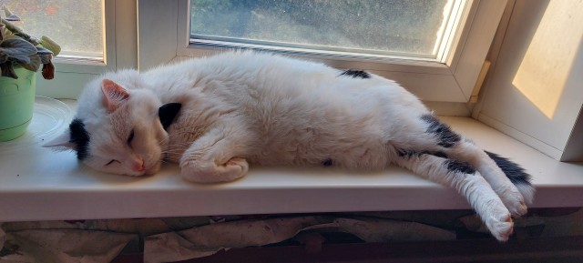 Его первый вторник