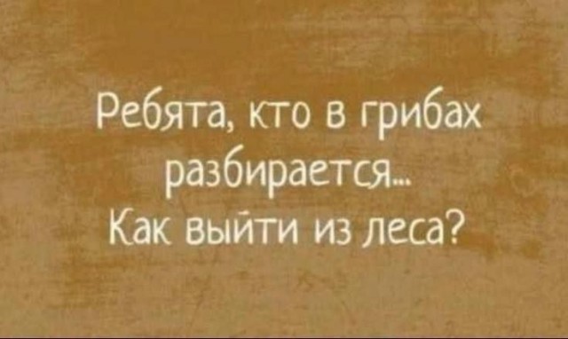 Веселые картинки в маленькую пятницу (27.08)