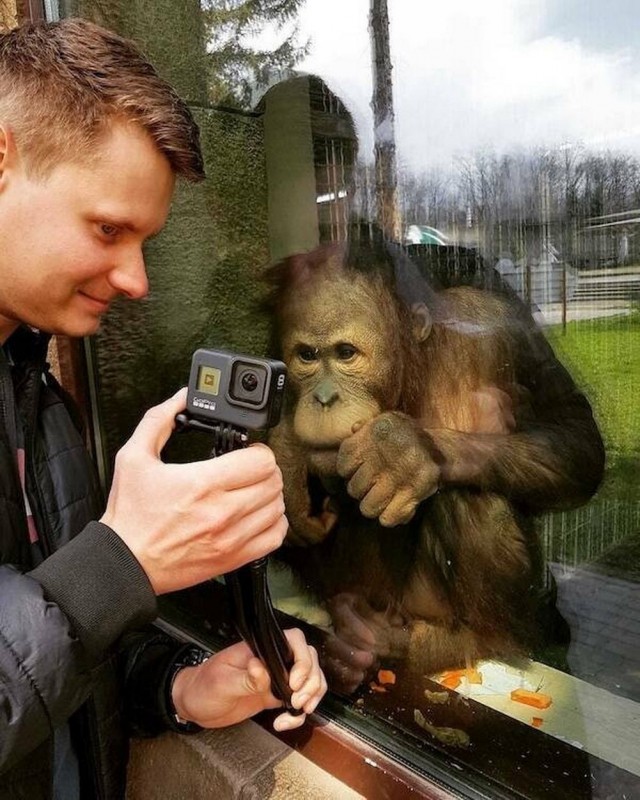 Фоточки и картиночки на  4 сентября, Шуфутинского нет