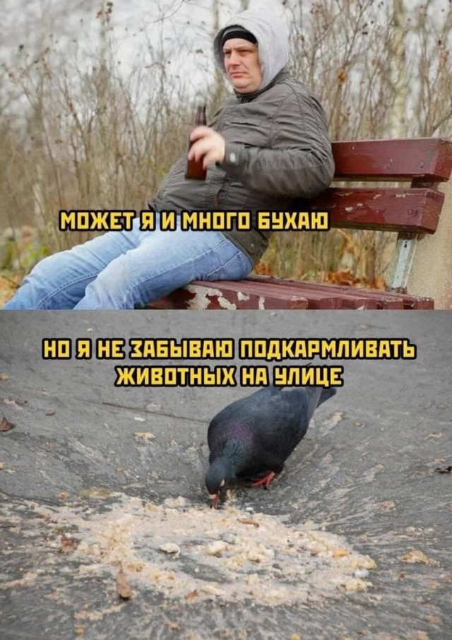 Так себе картинки 06.10.25