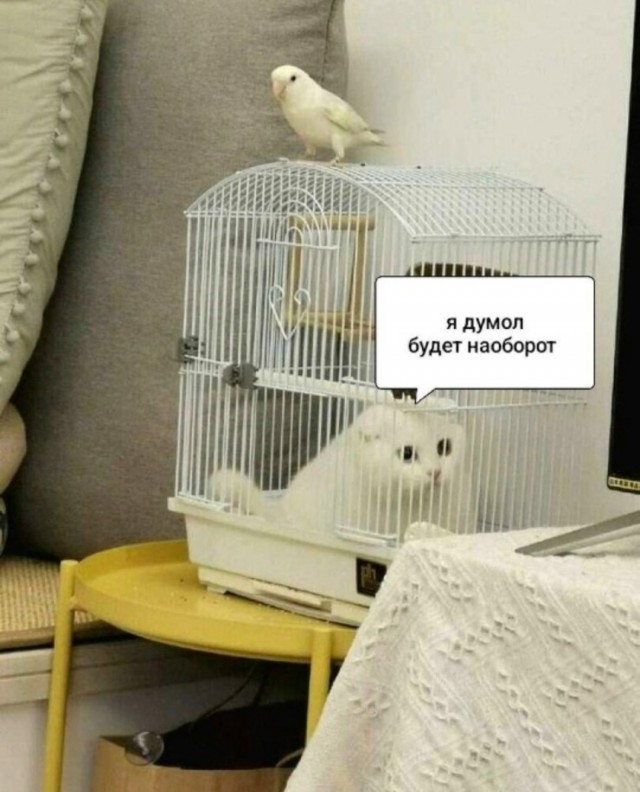 Сборник чтобы подеградировать - 28